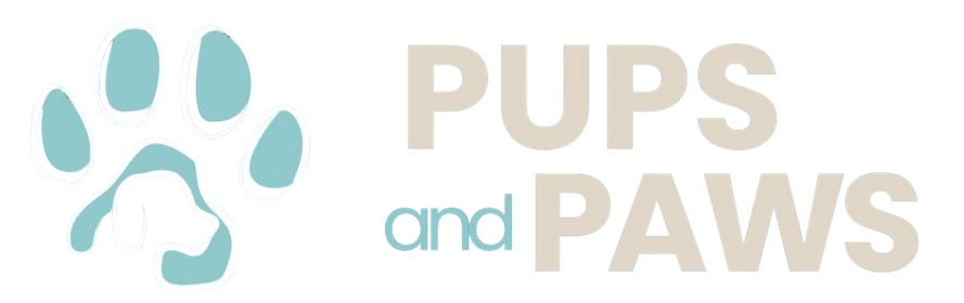 Kitchen & Essentials Kitchen & Essentials